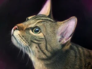 Startseite 7 Screenshot 20230921 141348 Gallery